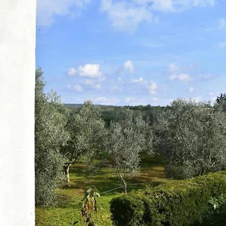 Apartmán Neue In Valica Mit Terrasse *